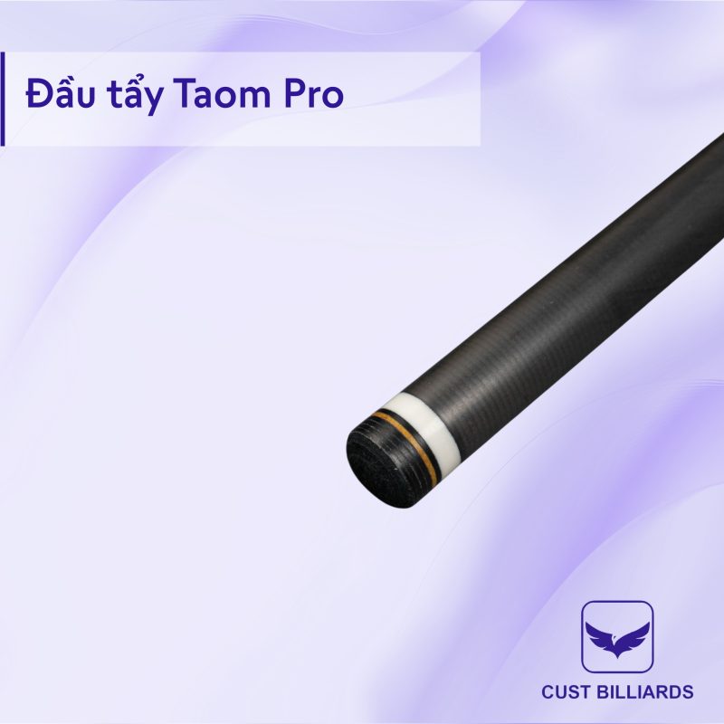 Cơ bida Allin Legend Carbon