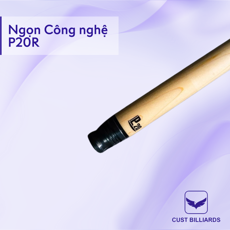 Cơ bida Peri PD